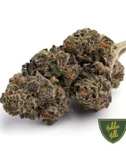 Hidden Hills Blueberry Muffins