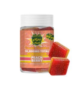 Hidden Hills Mini Mart Double Troublez