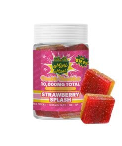 Hidden Hills Mini Mart Double Troublez