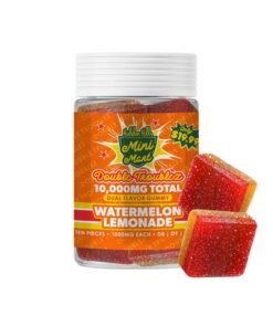 Hidden Hills Mini Mart Double Troublez