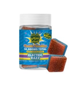 Hidden Hills Mini Mart Double Troublez