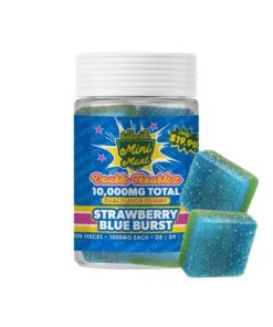 Hidden Hills Mini Mart Double Troublez