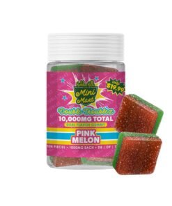 Hidden Hills Mini Mart Double Troublez