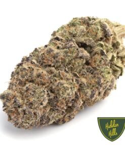 Hidden Hills Runtz Strain