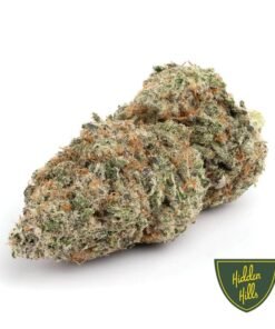 Hidden Hills Motohead Strain