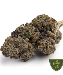 Hidden Hills Gush Mintz Strain