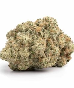 Hidden Hills Tropicana Cherry Strain