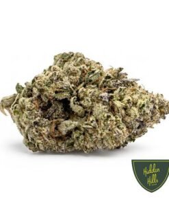 Hidden Hills El Chivo Strain