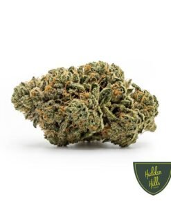 Hidden Hills White Runtz Strain