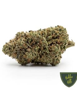 Hidden Hills G41 x Donnie Burger Strain