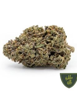 Hidden Hills Canal St Strain